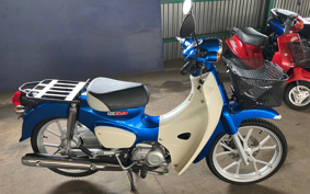 HONDA CBR954RR 2004 SC50