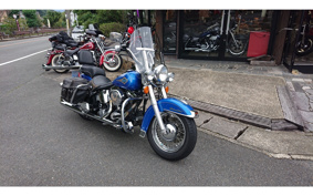 HARLEY FLSTC 1996 BJL