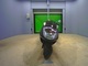Фото Yamaha MAXAM 250 2010 с японского аукциона