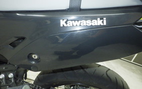 KAWASAKI KLX230 SM 2013 LX232A