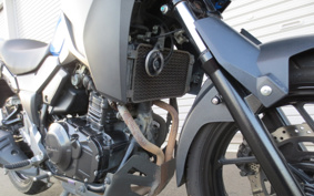 SUZUKI STROM 250ABS DS11A