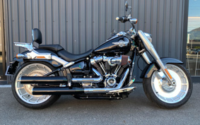 HARLEY FLFBS 2017 YGK