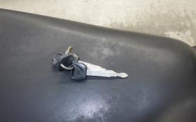 HONDA PS250 2023 MF09