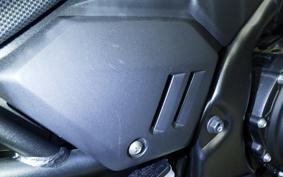 HONDA NX400 2024 NC65
