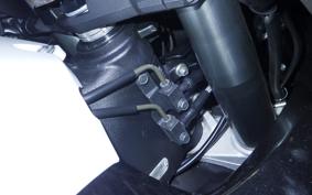 KAWASAKI ZX 1400 NINJA R A 2020