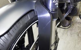 HUSQVARNA SVARTPILEN 250