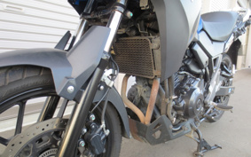 SUZUKI STROM 250ABS DS11A