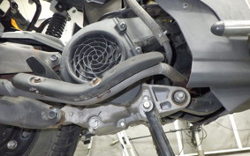 HONDA NAVI110 2025
