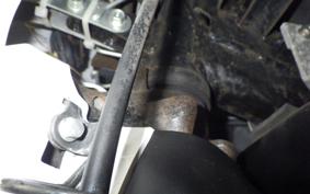 HONDA WAVE 110 2025 NF110TM