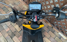 HONDA ZOOMER-X JF52