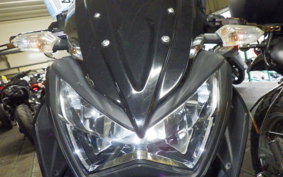 KAWASAKI Z250 2017 ER250C