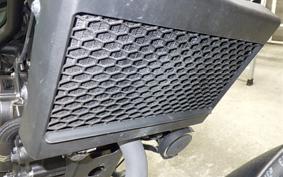 HONDA REBEL 250 A MC49