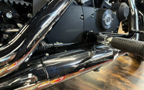 HARLEY XL883R 2014 CS2