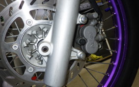 YAMAHA TT250R RAID 4GY
