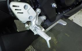YAMAHA XSR125 2024 RE46J