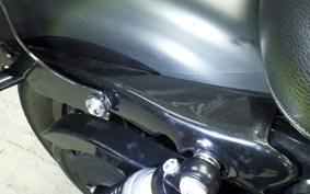 HARLEY XL883N 2010
