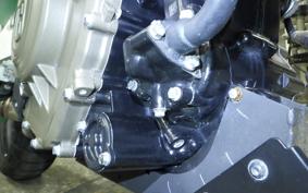 HUSQVARNA SVARTPILEN 401 2021