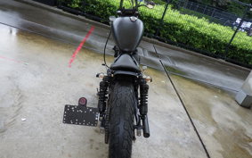 YAMAHA VIRAGO 250 3DM