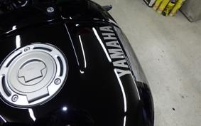 YAMAHA XSR900 2024 RN80J