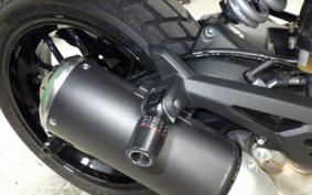 DUCATI SCRAMBLER ICON 2024