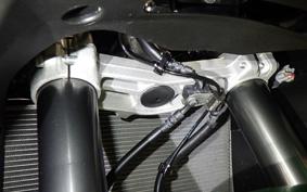 KAWASAKI NINJA 1000SX 2024 ZXT02K