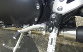 TRIUMPH SPEED TWIN 2020