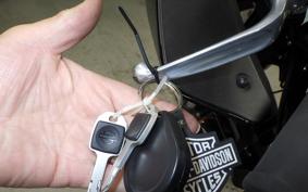 HARLEY FXLRST1920 2023