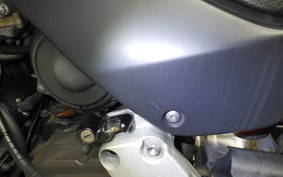 HONDA HORNET 250 2021 MC31