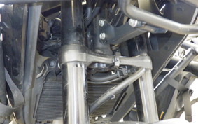 HONDA NX400 2024 NC65