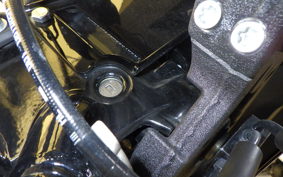 HARLEY FXLRST1920 2025