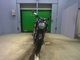 Фото Ducati DIAVEL Cromo 2012 с японского аукциона