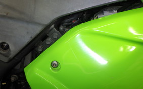KAWASAKI NINJA 250R 2010 EX250K