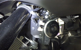 YAMAHA YZF R-3 2024 RH21J