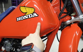 HONDA XLX250R 2019 MD08