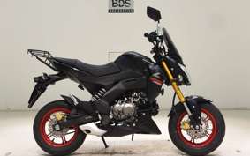 KAWASAKI Z125 PRO 2000 BR125H