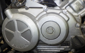 HONDA XELVIS 2024 MC25