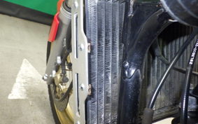 YAMAHA RZ250R 2009 29L