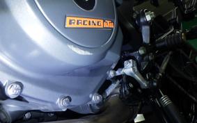 KTM 390 DUKE 2024