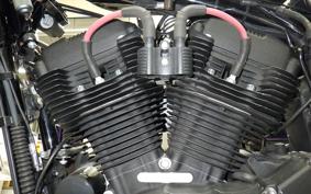 HARLEY XL1200NS 2020