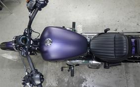 HARLEY FXBB1920 2025