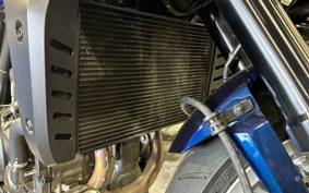 HONDA HAWK 11 2024 SC85