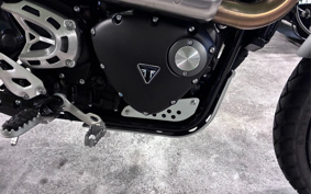 TRIUMPH SCRAMBLER 1200XE 2025 DADS0H