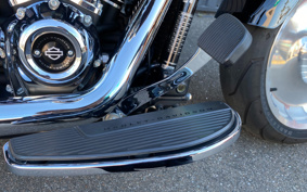 HARLEY FLFBS 2017 YGK