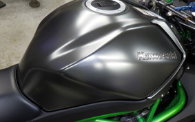 KAWASAKI NINJA H2 CARBON 2021 ZXT02J
