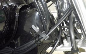 YAMAHA VIRAGO 250 2023 3DM