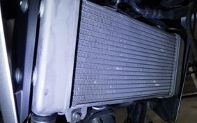 HONDA CB250RA 2024 MC52