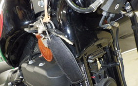 HARLEY XL1200NS 2019