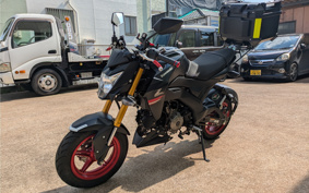 KAWASAKI Z125 PRO BR125H