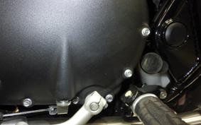TRIUMPH SPEED TWIN 900 2024