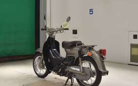 HONDA LITTLE CUB 2010 AA01